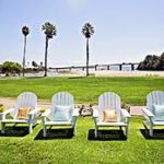 Beach Wedding Olive Tree Officiating